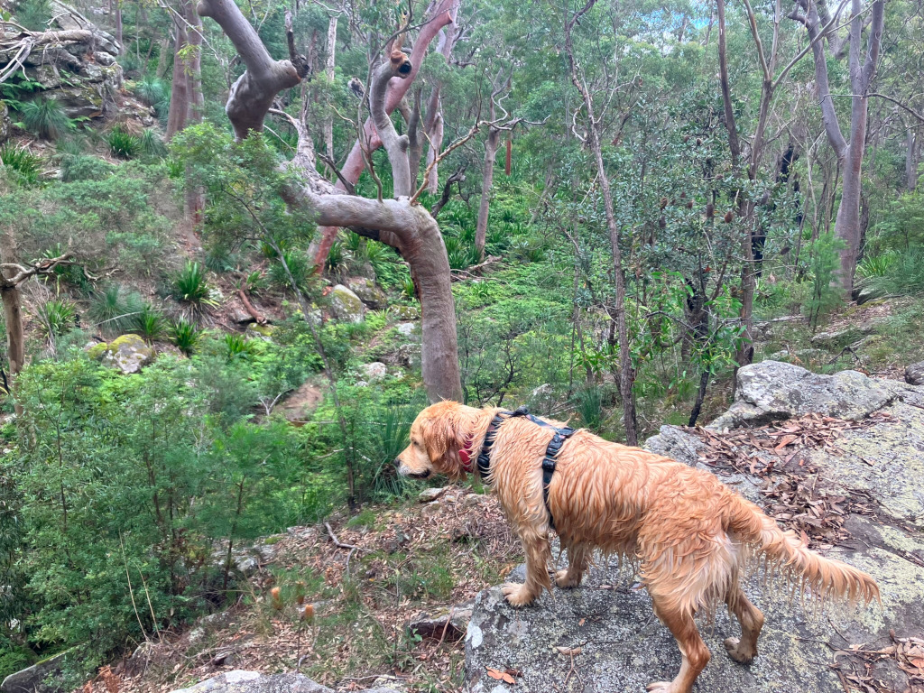 Barton Ridge Photo