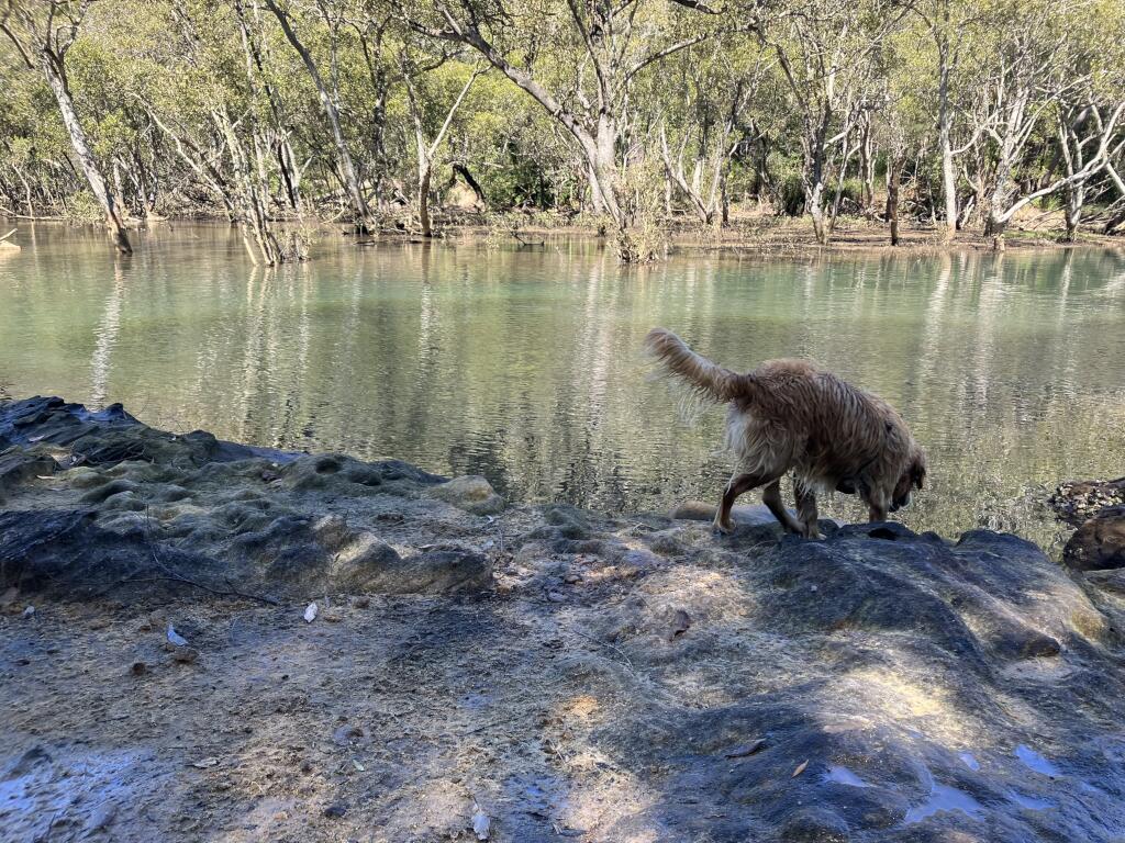 Pippa Two Creeks