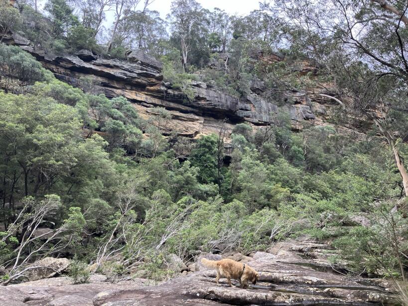 Image 4